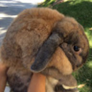 Meet your Posher, Aiden